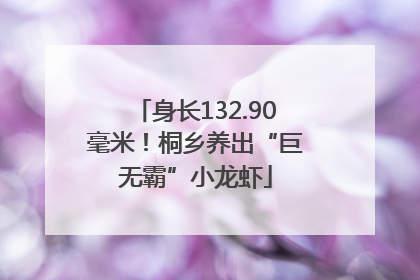 身长132.90毫米！桐乡养出“巨无霸”小龙虾