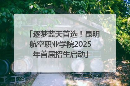 逐梦蓝天首选！昆明航空职业学院2025年首届招生启动