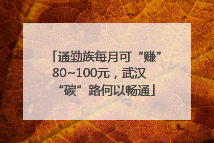 通勤族每月可“赚”80~100元，武汉“碳”路何以畅通