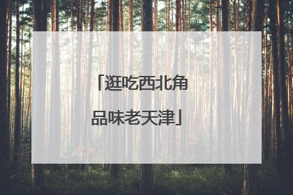 逛吃西北角 品味老天津