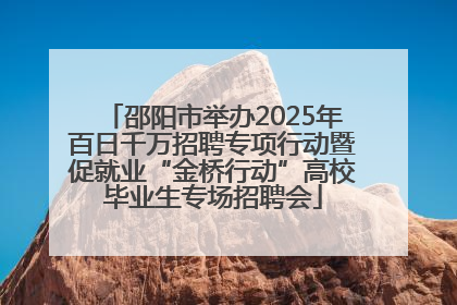邵阳市举办2025年百日千万招聘专项行动暨促就业“金桥行动”高校毕业生专场招聘会