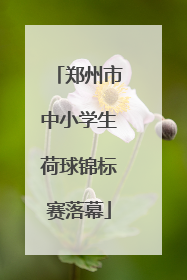 郑州市中小学生荷球锦标赛落幕