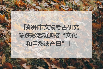 郑州市文物考古研究院多彩活动迎接“文化和自然遗产日”