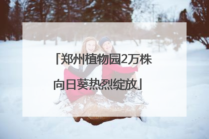 郑州植物园2万株向日葵热烈绽放