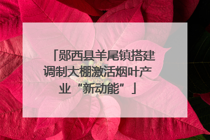 郧西县羊尾镇搭建调制大棚激活烟叶产业“新动能”