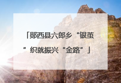 郧西县六郎乡“银茧”织就振兴“金路”