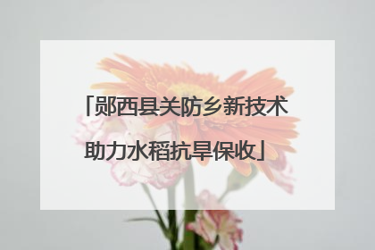 郧西县关防乡新技术助力水稻抗旱保收