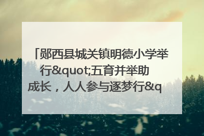 郧西县城关镇明德小学举行"五育并举助成长，人人参与逐梦行"庆六一活动