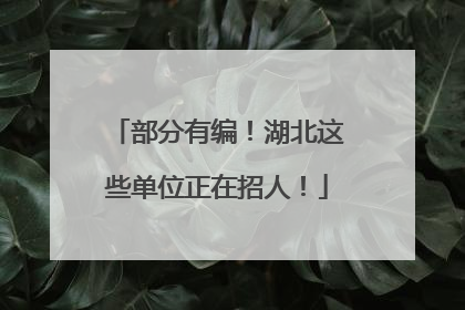 部分有编！湖北这些单位正在招人！