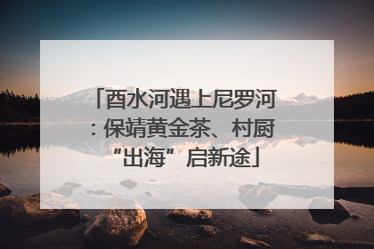 酉水河遇上尼罗河：保靖黄金茶、村厨“出海”启新途