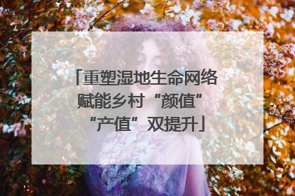 重塑湿地生命网络 赋能乡村“颜值”“产值”双提升