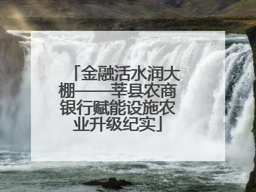 金融活水润大棚——莘县农商银行赋能设施农业升级纪实