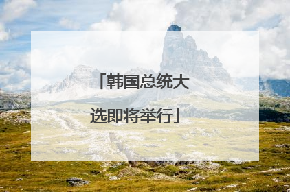 韩国总统大选即将举行