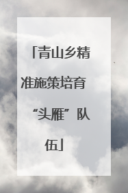 青山乡精准施策培育“头雁”队伍