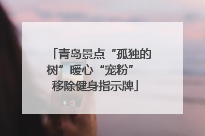 青岛景点“孤独的树”暖心“宠粉” 移除健身指示牌