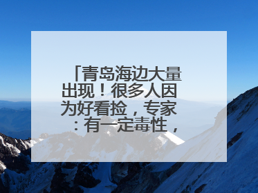 青岛海边大量出现！很多人因为好看捡，专家：有一定毒性，不建议手碰