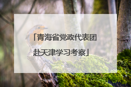 青海省党政代表团赴天津学习考察