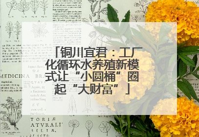 铜川宜君：工厂化循环水养殖新模式让“小圆桶”圈起“大财富”