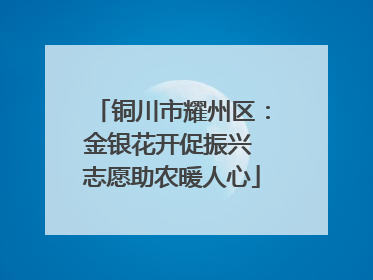 铜川市耀州区：金银花开促振兴 志愿助农暖人心