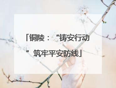 铜陵：“铸安行动”筑牢平安防线