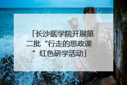 长沙医学院开展第二批“行走的思政课”红色研学活动