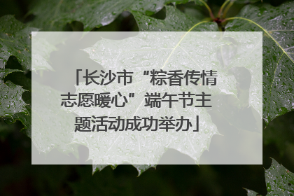 长沙市“粽香传情志愿暖心”端午节主题活动成功举办