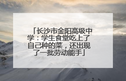 长沙市金阳高级中学：学生食堂吃上了自己种的菜，还出现了一批劳动能手