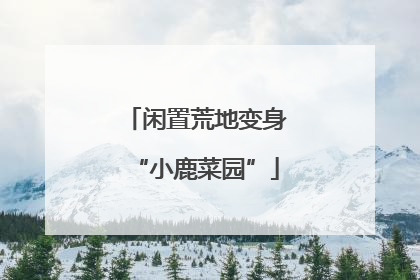 闲置荒地变身“小鹿菜园”