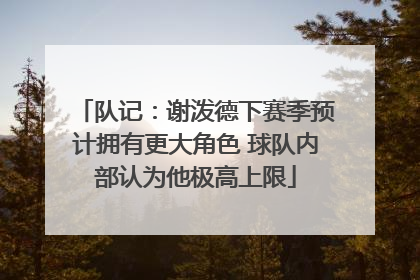 队记：谢泼德下赛季预计拥有更大角色 球队内部认为他极高上限