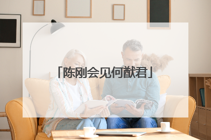 陈刚会见何猷君