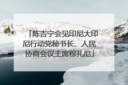 陈吉宁会见印尼大印尼行动党秘书长、人民协商会议主席穆扎尼
