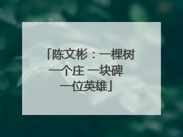 陈文彬：一棵树 一个庄 一块碑 一位英雄