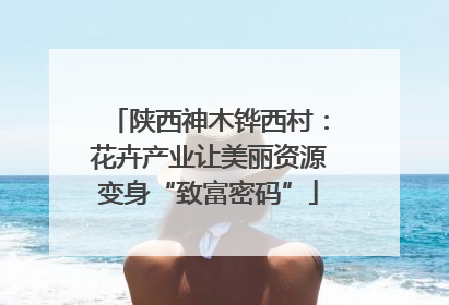 陕西神木铧西村：花卉产业让美丽资源变身“致富密码”