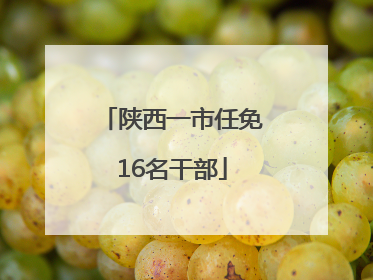 陕西一市任免16名干部