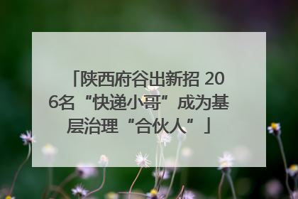 陕西府谷出新招 206名“快递小哥”成为基层治理“合伙人”