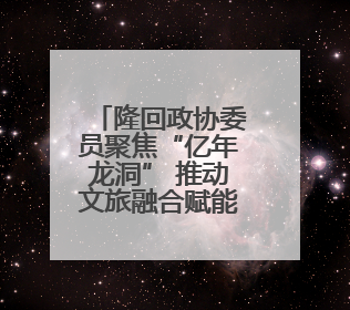 隆回政协委员聚焦“亿年龙洞” 推动文旅融合赋能乡村振兴