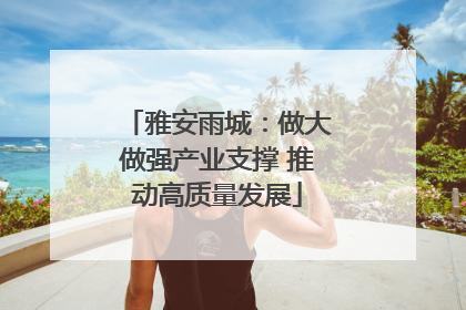 雅安雨城：做大做强产业支撑 推动高质量发展