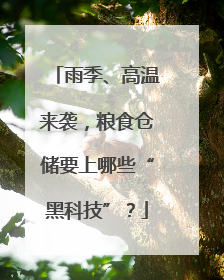 雨季、高温来袭，粮食仓储要上哪些“黑科技”？