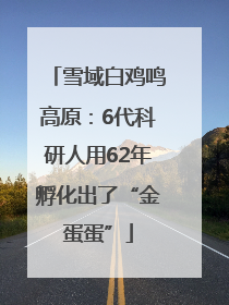 雪域白鸡鸣高原：6代科研人用62年孵化出了“金蛋蛋”