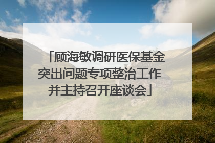 顾海敏调研医保基金突出问题专项整治工作并主持召开座谈会