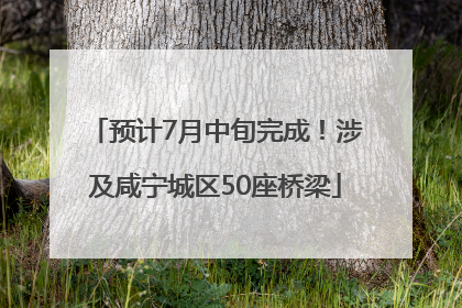 预计7月中旬完成！涉及咸宁城区50座桥梁