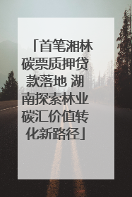 首笔湘林碳票质押贷款落地 湖南探索林业碳汇价值转化新路径