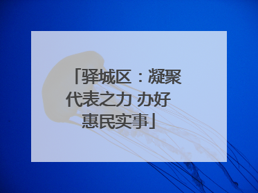 驿城区：凝聚代表之力 办好惠民实事