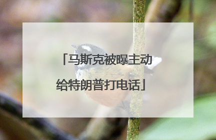 马斯克被曝主动给特朗普打电话
