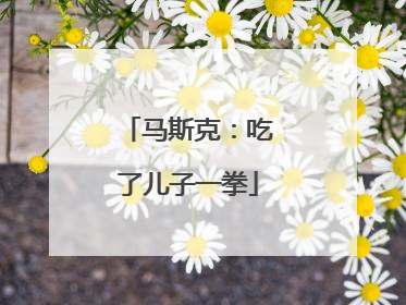 马斯克：吃了儿子一拳