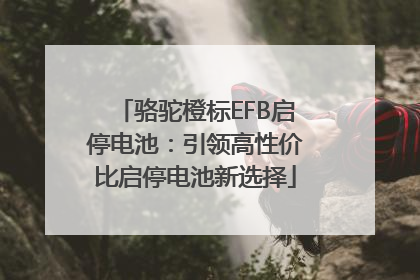 骆驼橙标EFB启停电池：引领高性价比启停电池新选择
