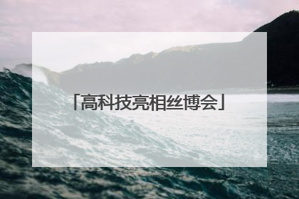 高科技亮相丝博会
