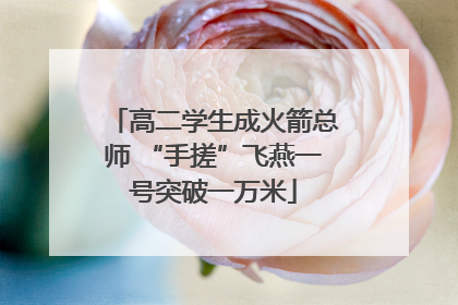 高二学生成火箭总师 “手搓”飞燕一号突破一万米