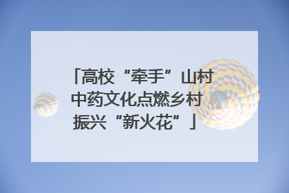 高校“牵手”山村 中药文化点燃乡村振兴“新火花”