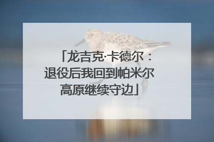 龙吉克·卡德尔：退役后我回到帕米尔高原继续守边